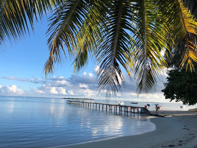 easytahiti.com