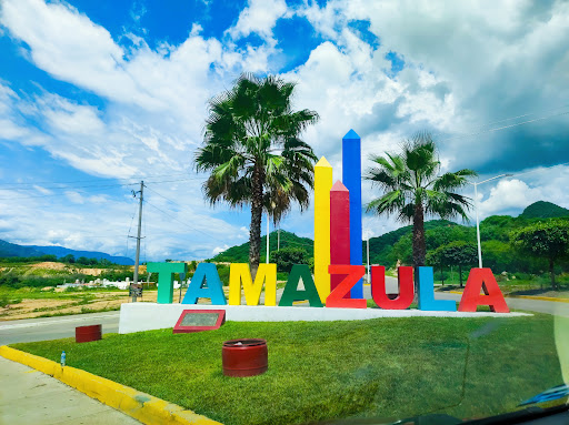 Tamazula durango - Visual