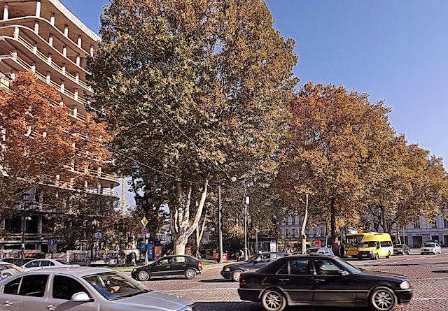 Pushkin park