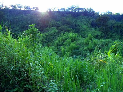 Photos of প্রংফুং মক পাড়া