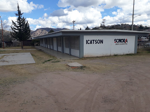 ICATSON - Visual