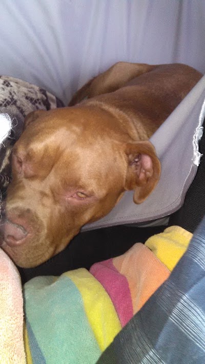 Photos of Humane Society-Ventura County