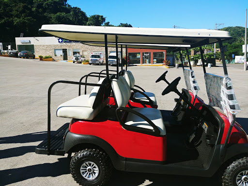 Sayulita VIP Transportation & Gaby Golf Carts