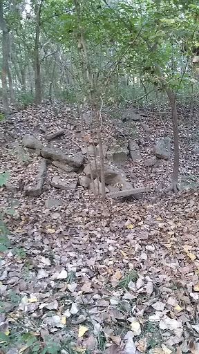 Donna May Campbell Nature Preserve - Darke County Parks - Thumbnail