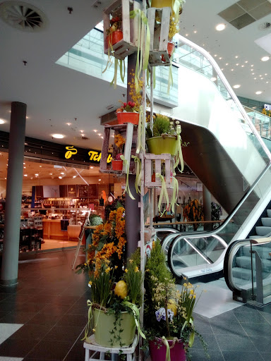 Römerpassage - Visual