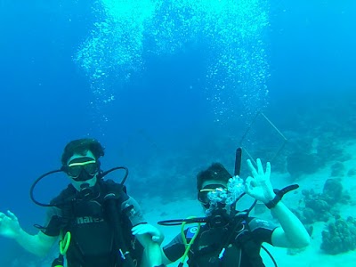 Photos of TwinDivers