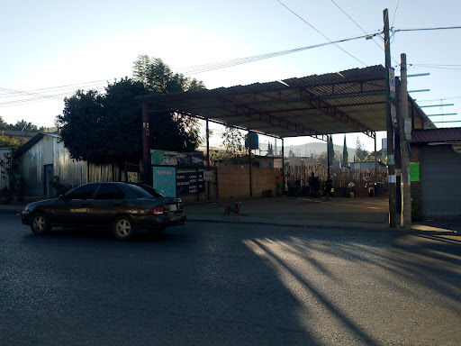 Lava autos BIOCARWASH - Thumbnail