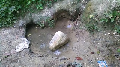 Photos of Reserva Natural Los Monos