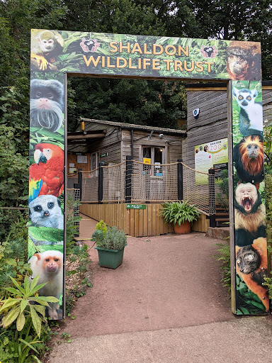 Shaldon Wildlife Trust - Thumbnail