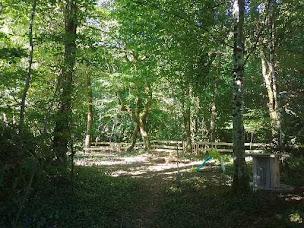 Photo n°6 de Labyrinthe maïs de Bassignac à Bassignac (Parc de loisirs)