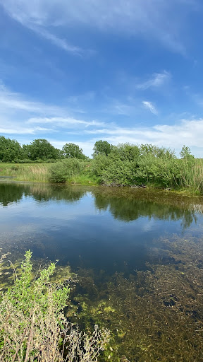 Lake McMaster - Visual