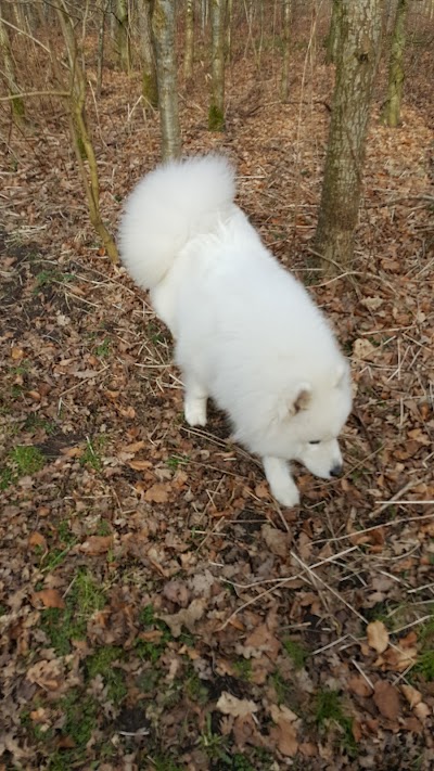 Photos of Dog Park Aars
