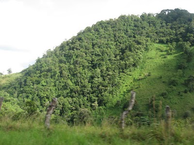 Photos of UNAH
