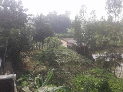 Photos of Nayadingi Bus Stop