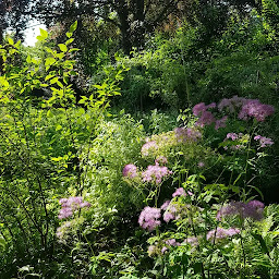 Photo n°4 de CANOPÉES à Sèvres (Architecte paysagiste)