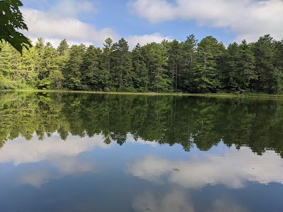 Black Farm State Management Area