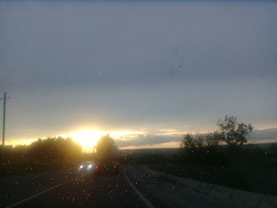 Photos of Pădurea Ocolina