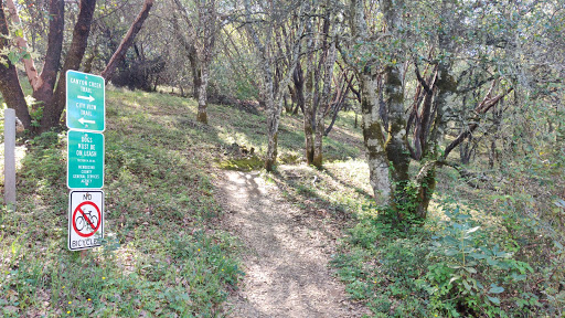 Canyon Creek Trail - Thumbnail