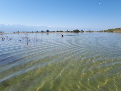 Photos of Dikiy Plyazh
