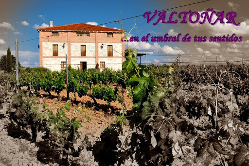 Valtoñar Bodega Ribera del Duero Gallery - Spain