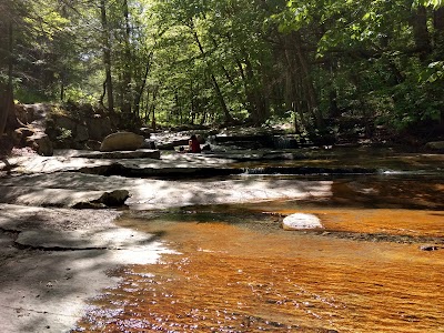 Old Jelly Mill Falls