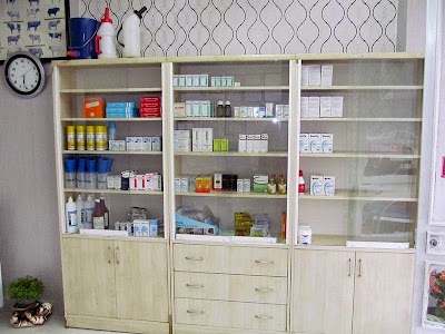 Photos of Central Veterinary Clinics