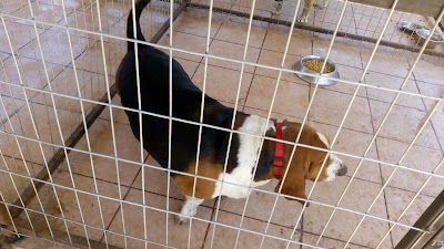 Photos of Hotel Canino Fonoguau