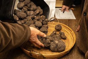 Photo n°6 de Chadam communication à Donzère (Photographe)