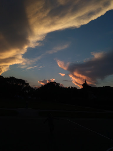 Fogleman Park - Thumbnail
