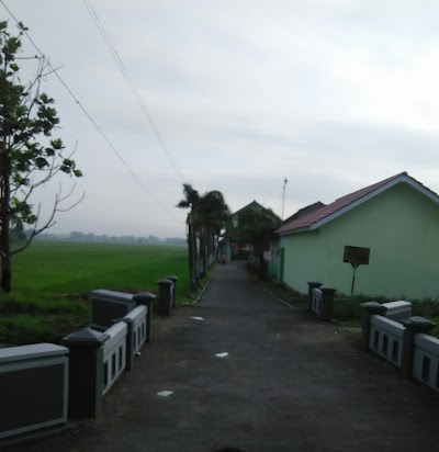 school