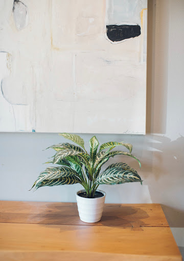 J. Renee' Gallery - United States