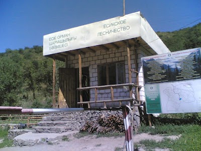 Photos of Yesikskoye Lesnichestvo