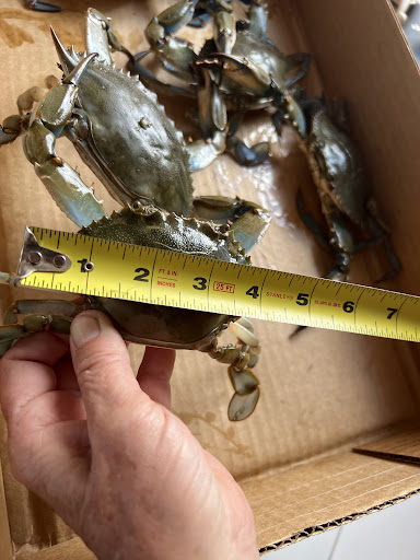 CRABS EXPRESS INC Gallery - United States