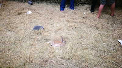 Photos of Pets Kingdom