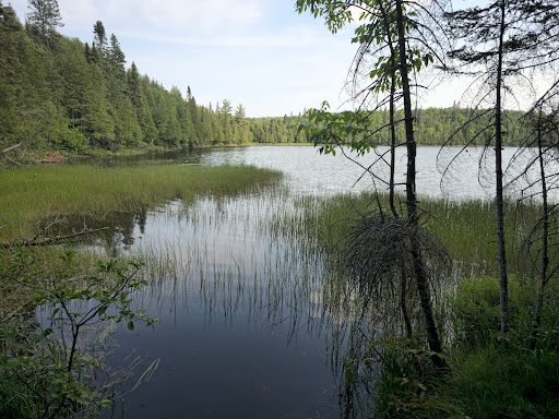George Crosby Manitou State Park - Thumbnail