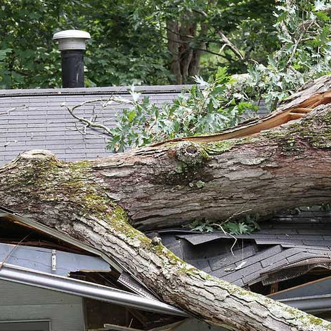 Scott Bauer Roofing & Siding Inc Roofing Contractor in Dayton