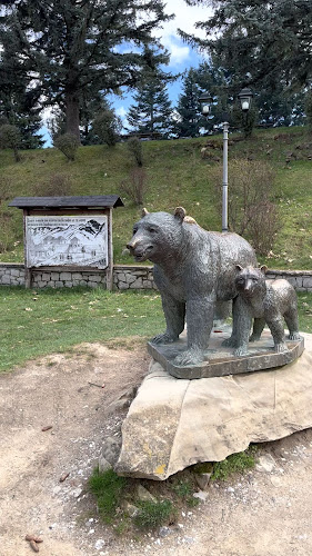 Opinii despre Άγαλμα Αρκούδας în Μέτσοβο - Αλλος