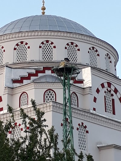Cevizkoy Koyu Mosque