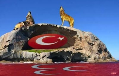 Photos of Special Egeumut Hospital