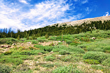Mount Goliath Natural Area, Evergreen, United States