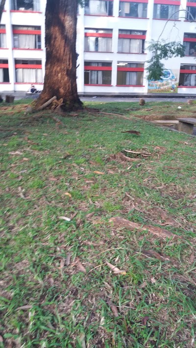 Photos of Facultad De Ingenier&iacute;as - Universidad del Cauca Park