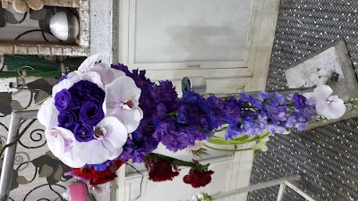 Photos of The One Flowers B.r 1