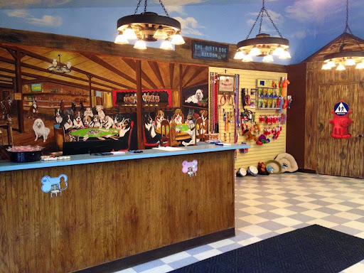 Pet Town Self Serve Pet Wash & Supply - Thumbnail