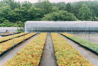㈲グリーンプランナー太田苗園