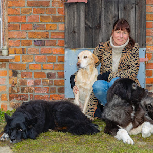 Mit Hund und Seele Dorfstraße 8, 03130 Felixsee