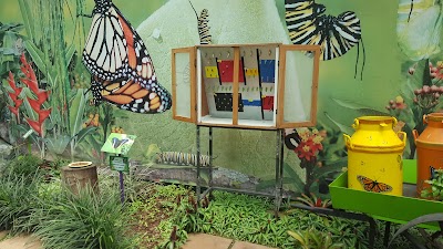 Photos of Butterfly Kingdom