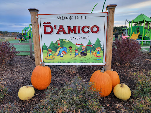Jane D’ Amico Playground - Thumbnail