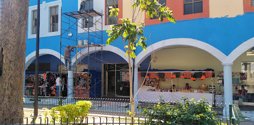 Biblioteca Marcos Aguayo Duran