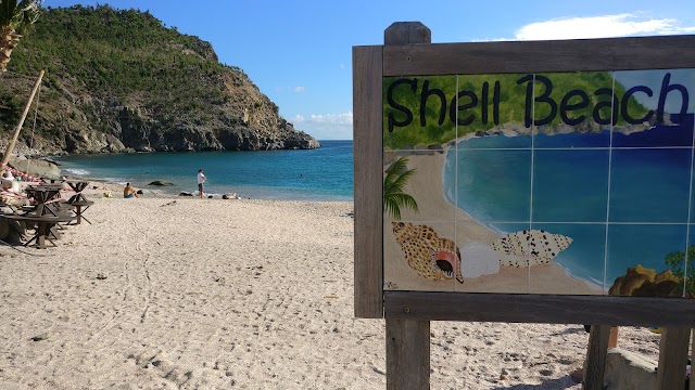 Shell Beach