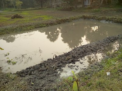Photos of Dolla Fish Farm